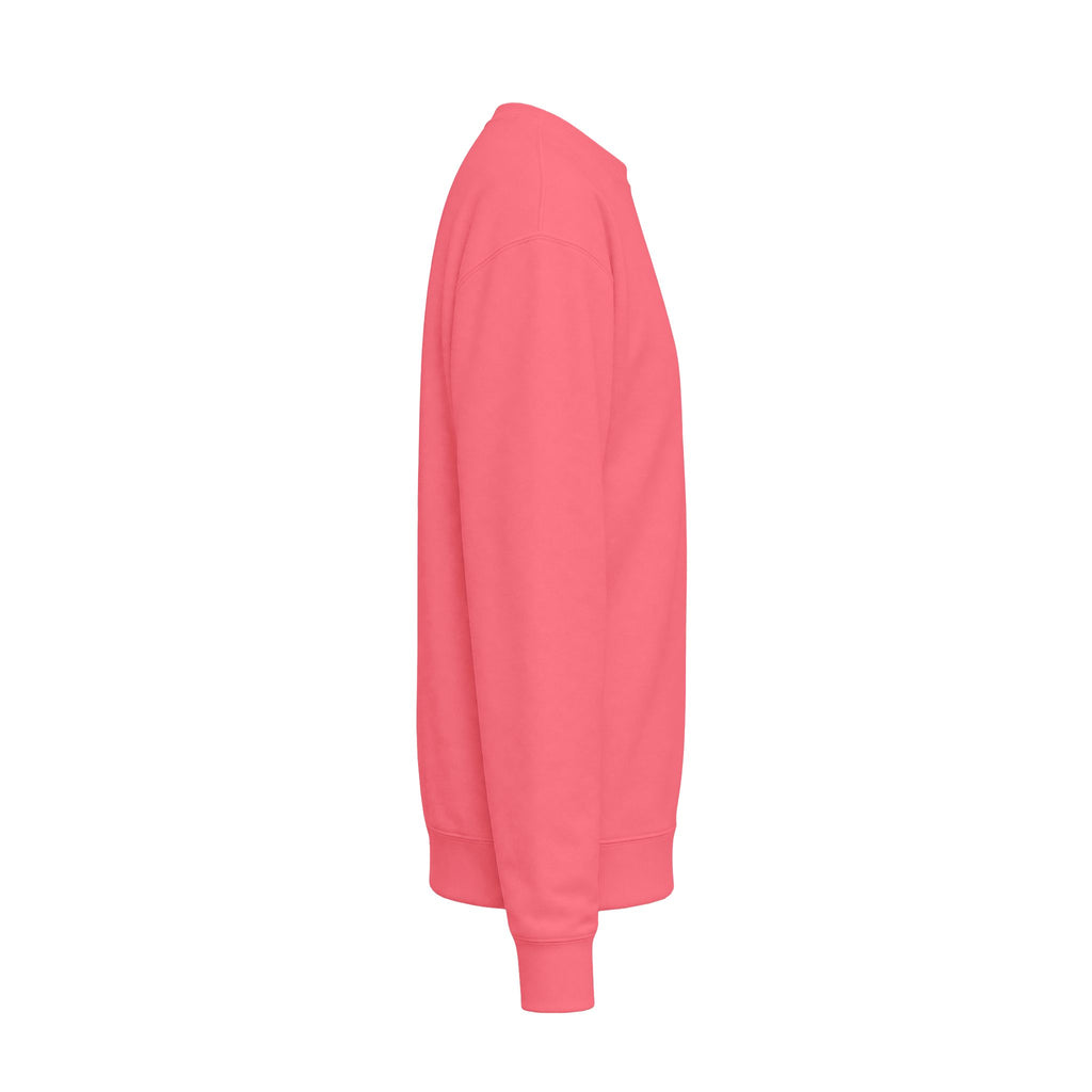Unisex Midweight Softstyle Fleece Crewneck Sweatshirt